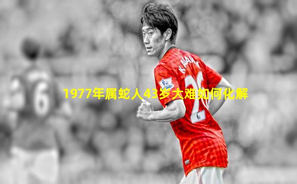 1977年属蛇人43岁大难如何化解