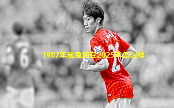 1987年属兔的在2025年怎么样