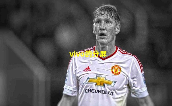 vivo的分屏