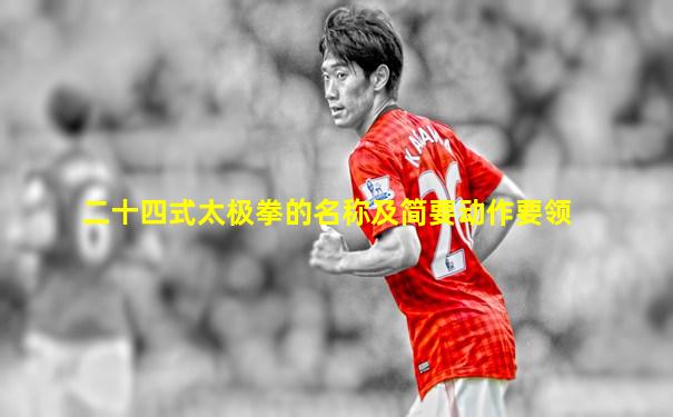 二十四式太极拳的名称及简要动作要领