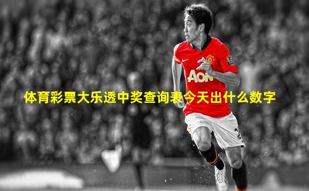 体育彩票大乐透中奖查询表今天出什么数字