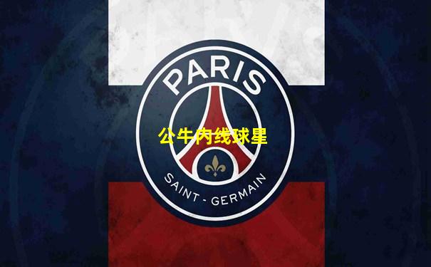 公牛内线球星