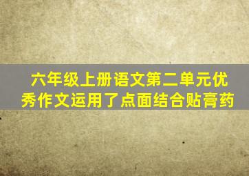 六年级上册语文第二单元优秀作文运用了点面结合贴膏药