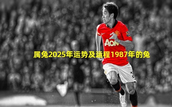属兔2025年运势及运程1987年的兔