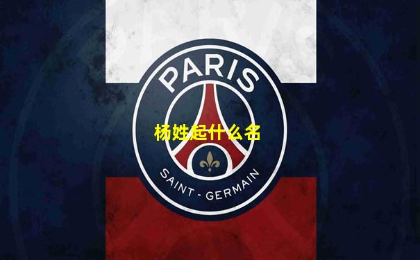 杨姓起什么名