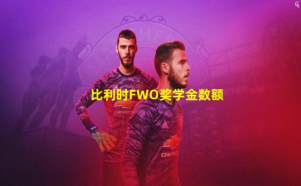 比利时FWO奖学金数额