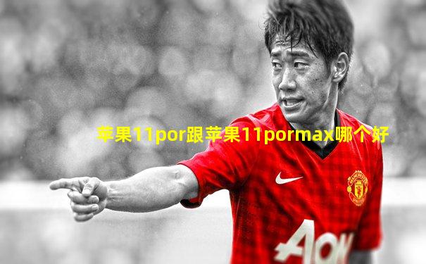 苹果11por跟苹果11pormax哪个好