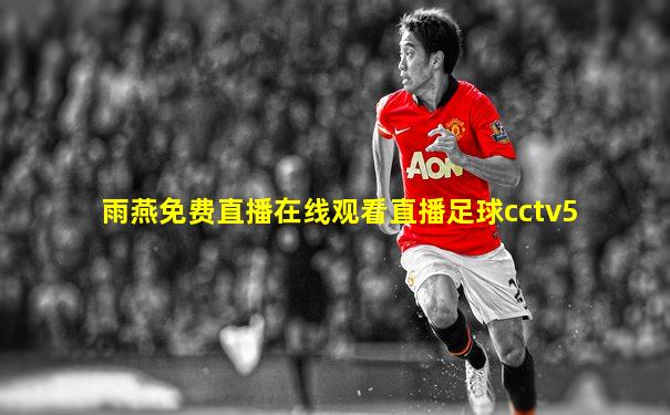 雨燕免费直播在线观看直播足球cctv5