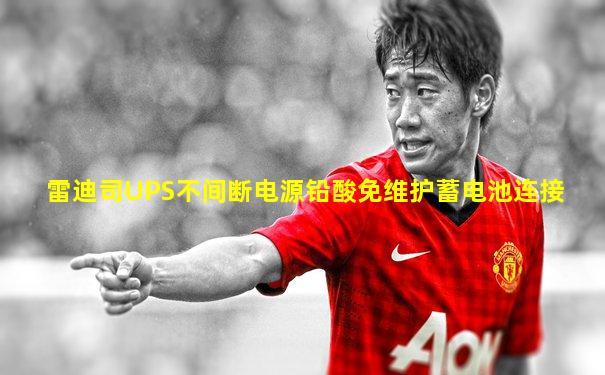 雷迪司UPS不间断电源铅酸免维护蓄电池连接