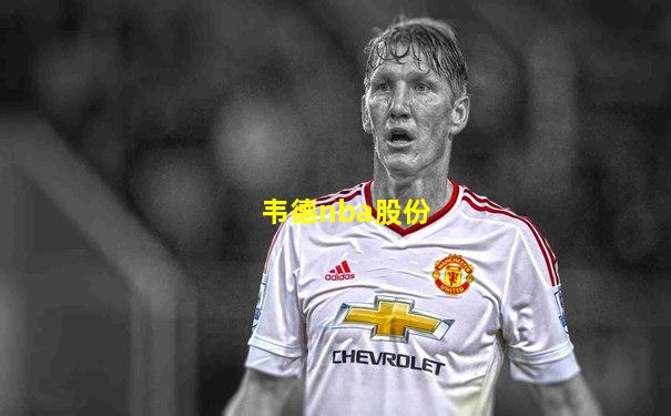 韦德nba股份